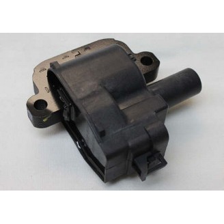 Holden Commodore LS1 Coil 